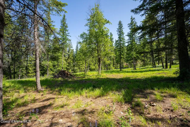 $287,900 | 238 Black Sheep Road, Hope, ID 83836