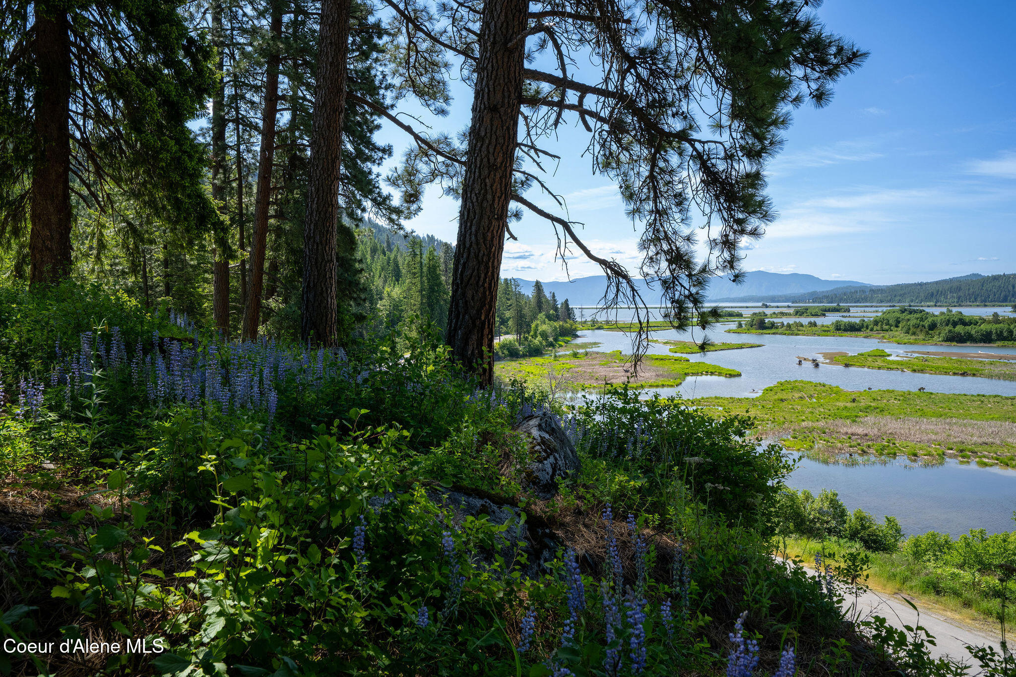 238 Black Sheep Road Hope, ID 83836 - Photo 9 of 46 DSC_9561