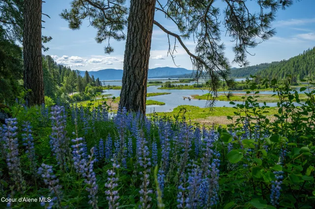 $287,900 | 238 Black Sheep Road, Hope, ID 83836