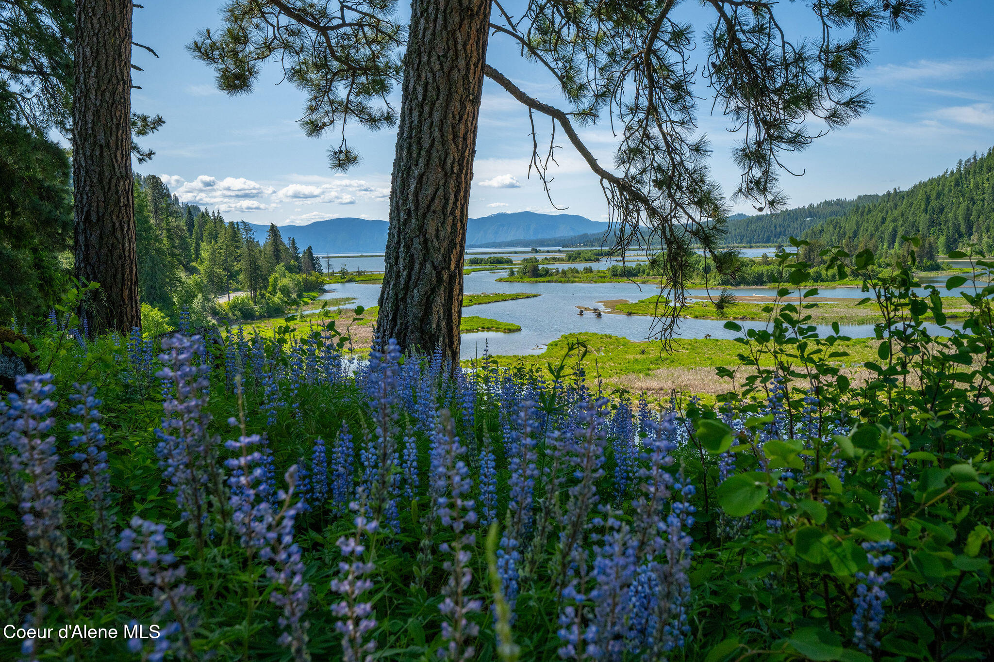 238 Black Sheep Road Hope, ID 83836 - Photo 10 of 46 DSC_9568