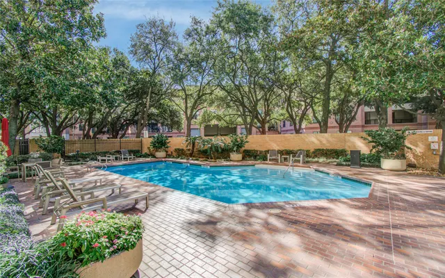 a view of a park with large trees