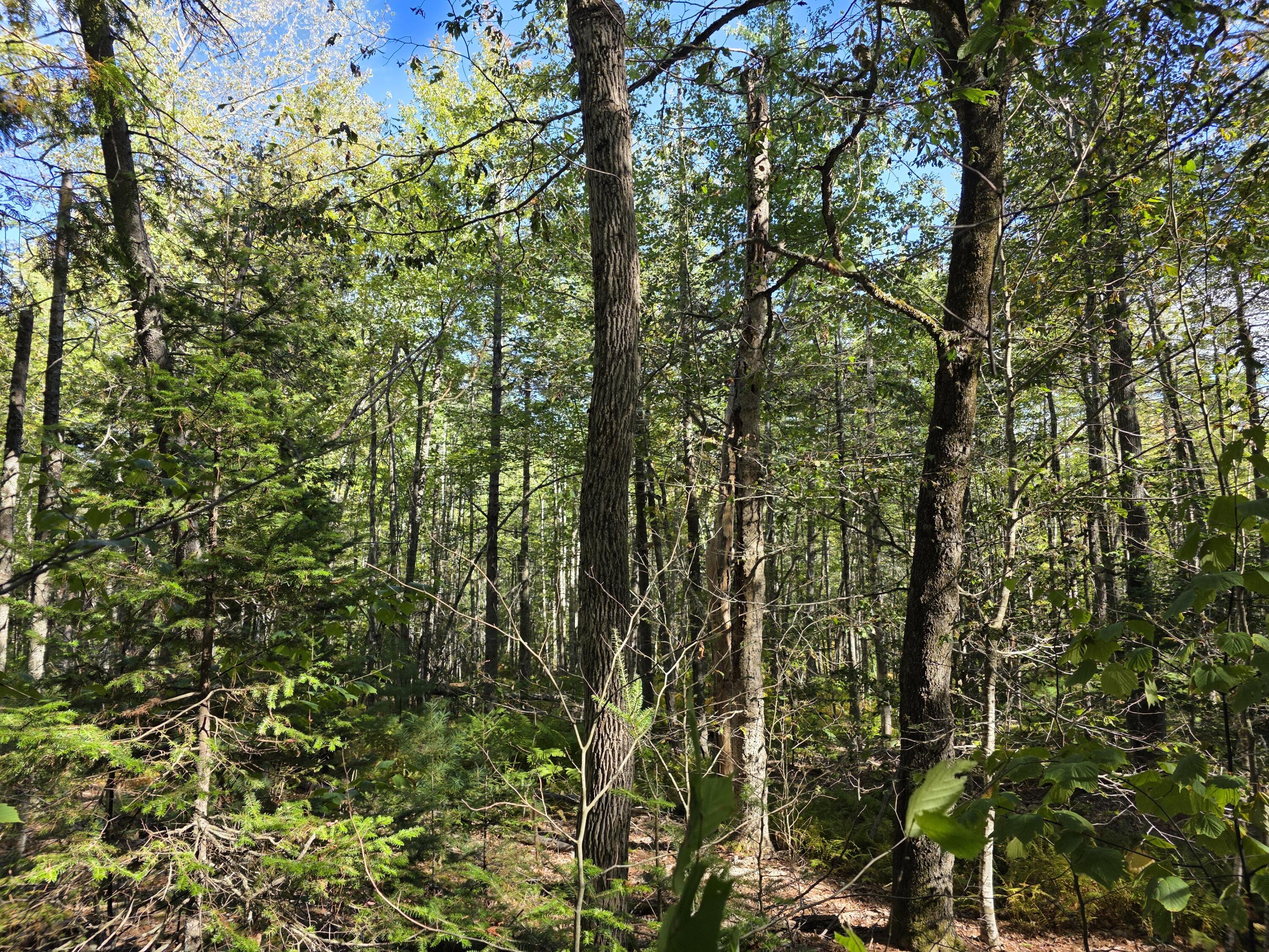 0 Back Searsport Road Belfast, ME 04915 - Photo 1 of 11 1000022315