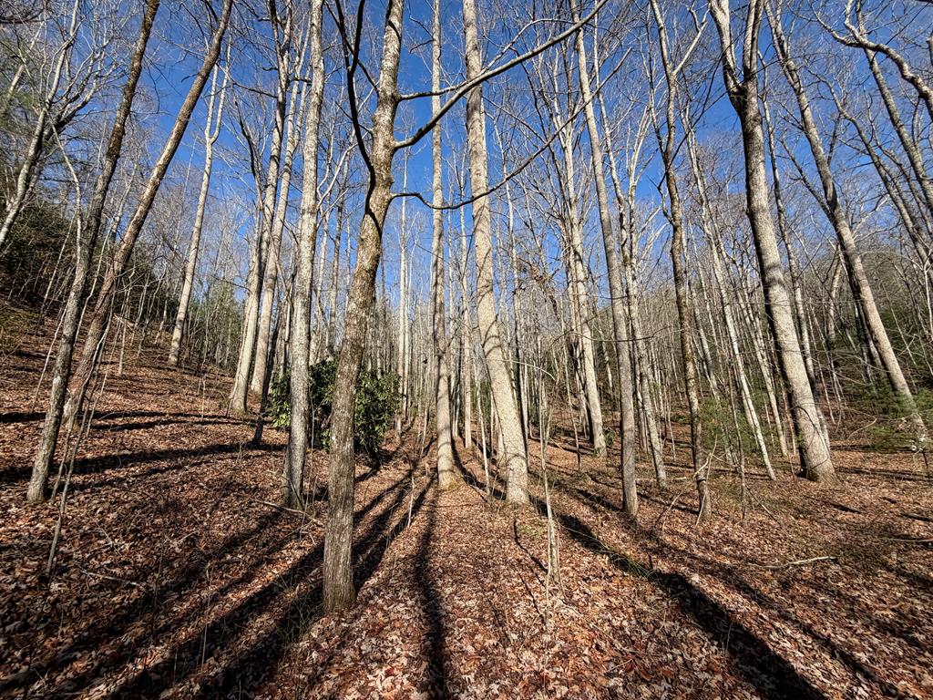 135.49-ac Webb Creek Road Andrews, NC 28901 - Photo 25 of 34