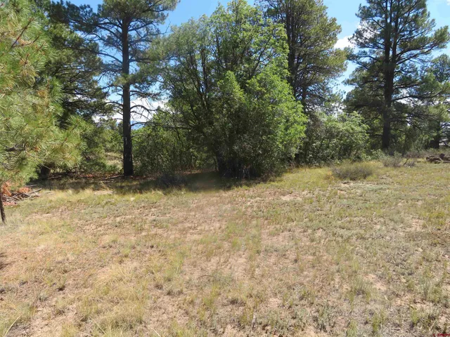 a view of backyard with green space