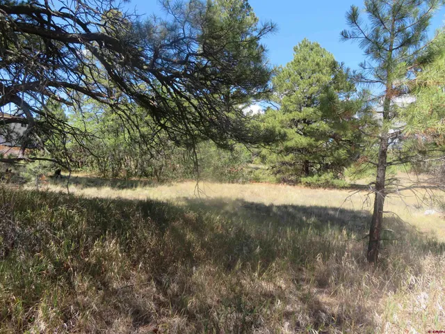 a view of a yard with a tree