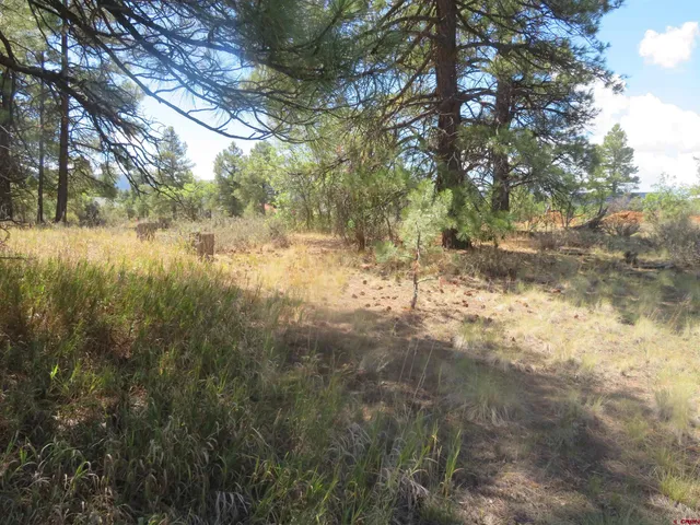 a view of lake with yard