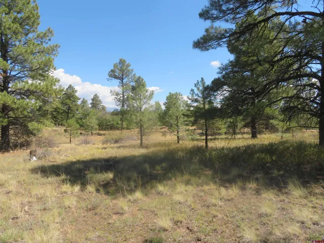 a view of a lake view