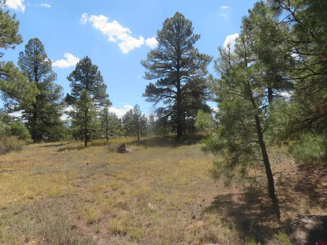 a view of natural light