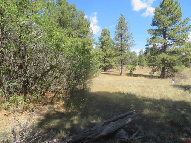 a view of open yard with green space