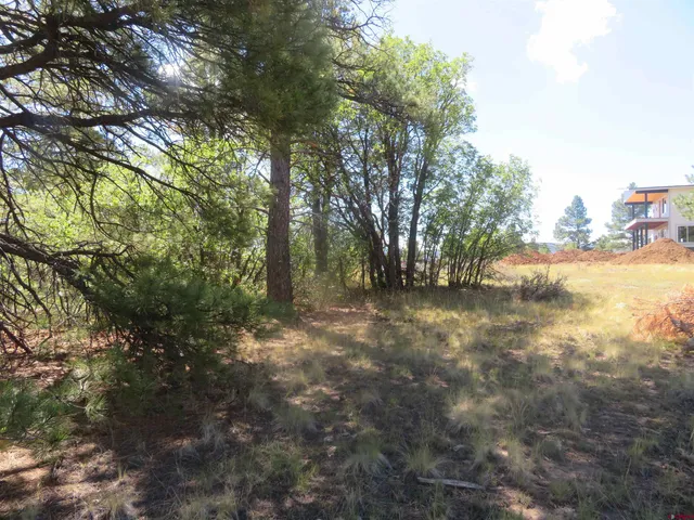 a view of outdoor space with trees