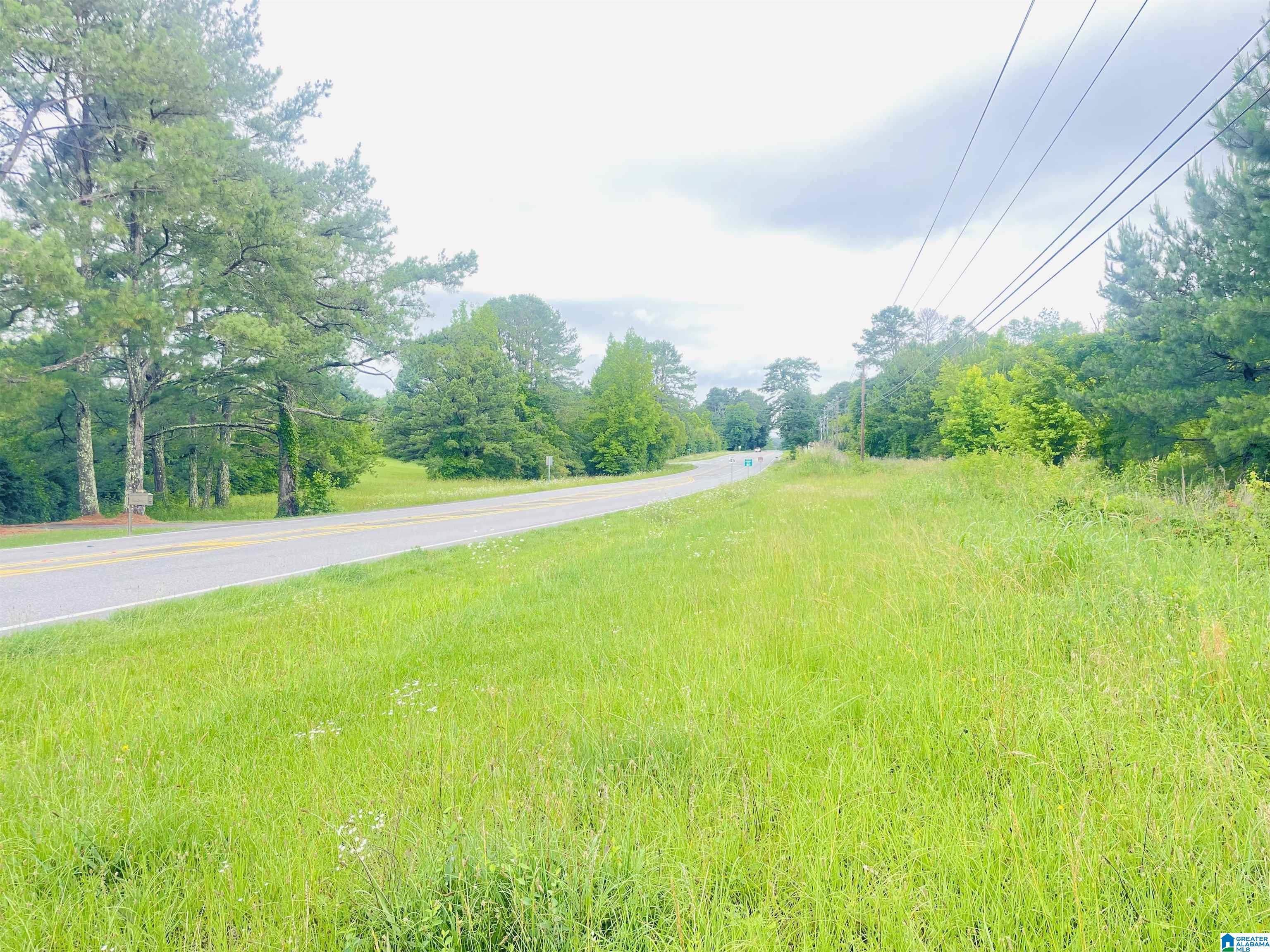 0 Highway 47, Unit 2 Chelsea, AL 35043 - Photo 1 of 19