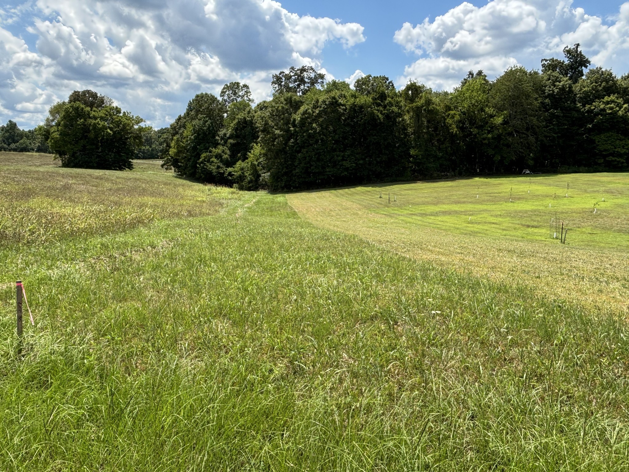 0 Middle Lick Creek Road Lyles, TN 37098 - Photo 2 of 7 a view of an outdoor space and a yard