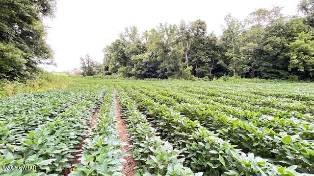 0 Bond Cemetery Road Denmark, TN 38391 - Photo 12 of 23 a view of a yard with plants and trees