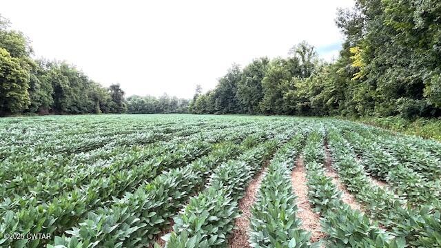 0 Bond Cemetery Road Denmark, TN 38391 - Photo 13 of 23 a view of a lush green space