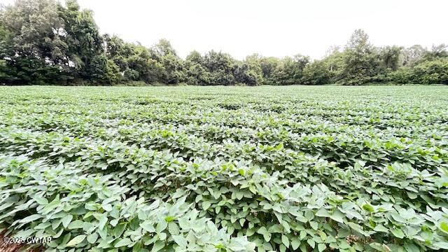 0 Bond Cemetery Road Denmark, TN 38391 - Photo 19 of 23 a view of field with trees in background