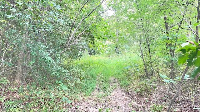 0 Bond Cemetery Road Denmark, TN 38391 - Photo 3 of 23 a view of a lush green forest