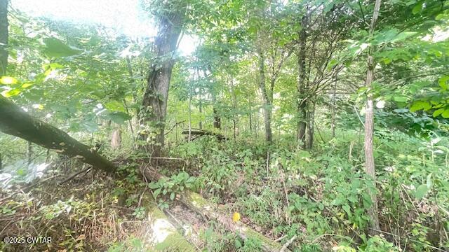 0 Bond Cemetery Road Denmark, TN 38391 - Photo 4 of 23