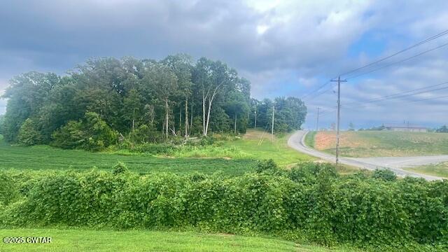 0 Bond Cemetery Road Denmark, TN 38391 - Photo 5 of 23 a view of a backyard