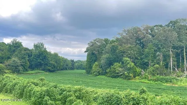 a view of a yard with a trees in the background
