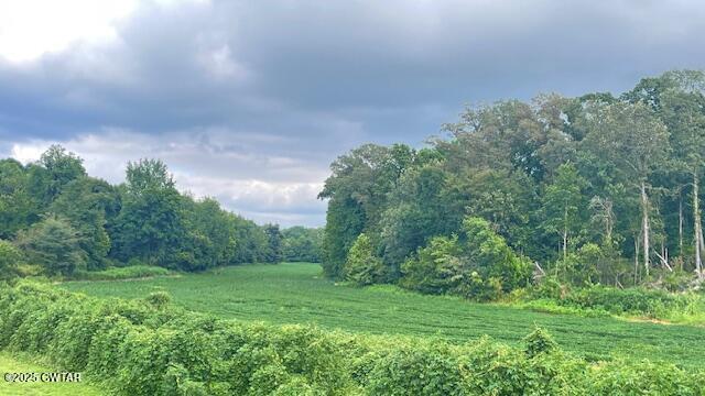 0 Bond Cemetery Road Denmark, TN 38391 - Photo 6 of 23 a view of a grassy field with trees in the background