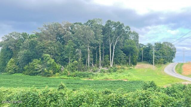 0 Bond Cemetery Road Denmark, TN 38391 - Photo 7 of 23 a view of a yard with a trees in the background