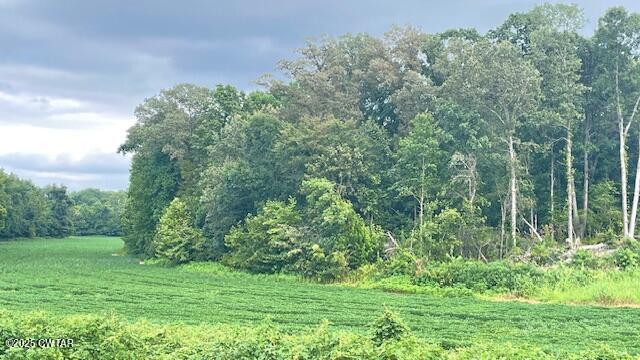 0 Bond Cemetery Road Denmark, TN 38391 - Photo 8 of 23 a view of a grassy field with trees in the background