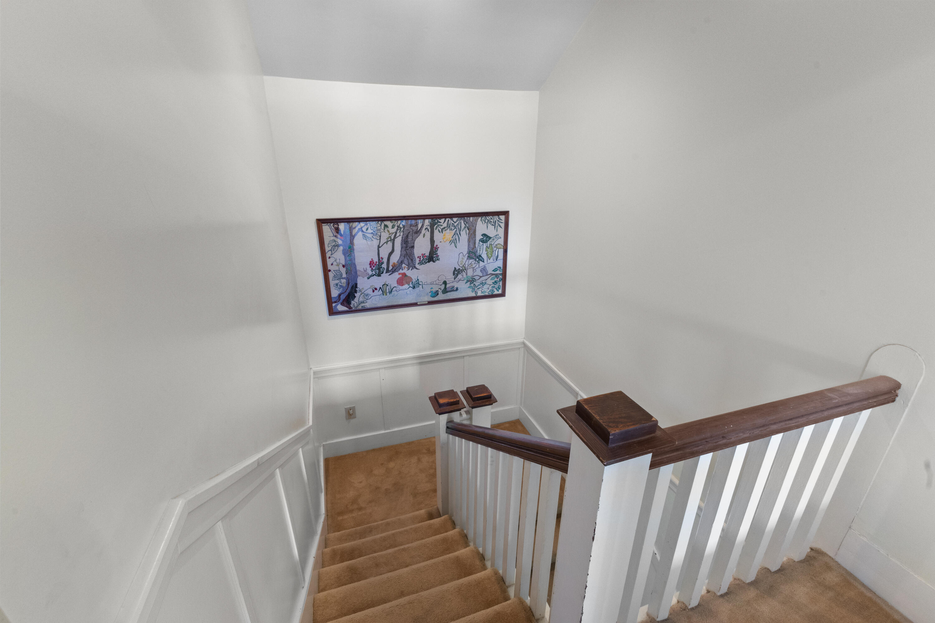 183 Main Street South Wagener, SC 29164 - Photo 42 of 82