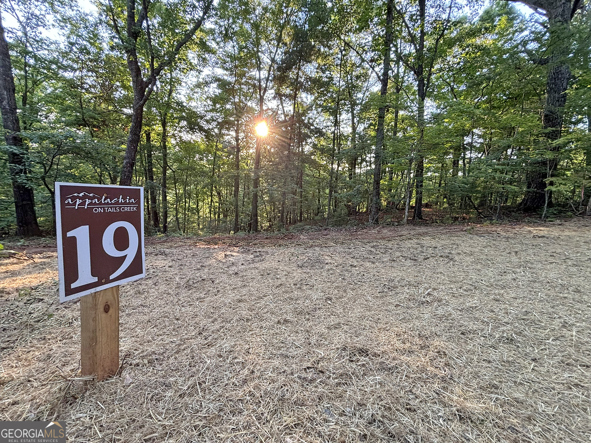 Lot 19 Mt Springer Road Ellijay, GA 30540 - Photo 4 of 32