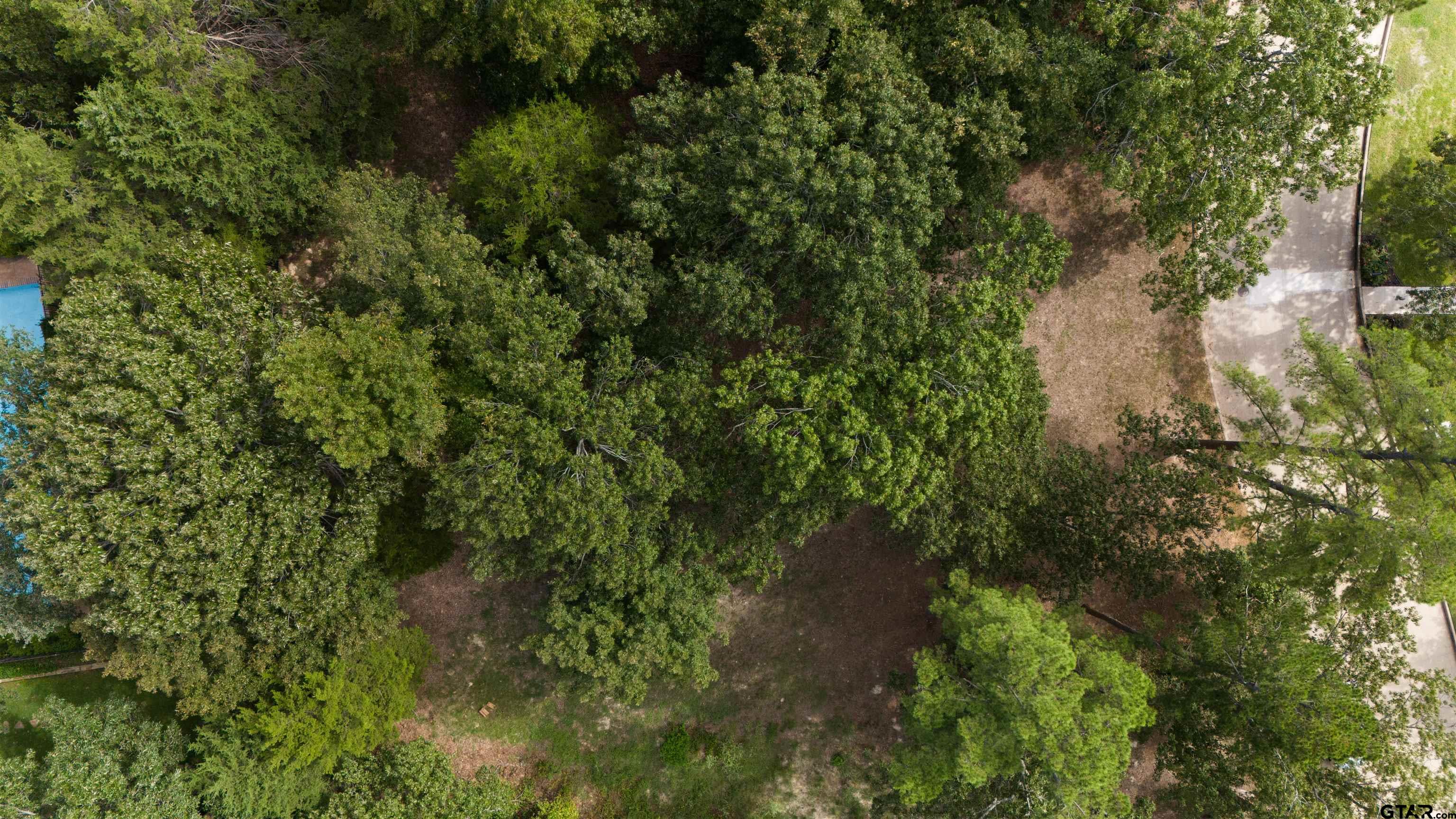 2835 Stewart Way Tyler, TX 75709 - Photo 11 of 11 a view of a garden with plants