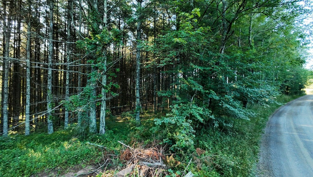 4 Merifield Rd Road, Unit TRACT 4 Willis, VA 24380 - Photo 12 of 17 Gallery Image 12