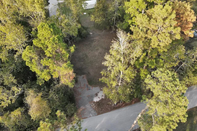 a view of a garden with plants