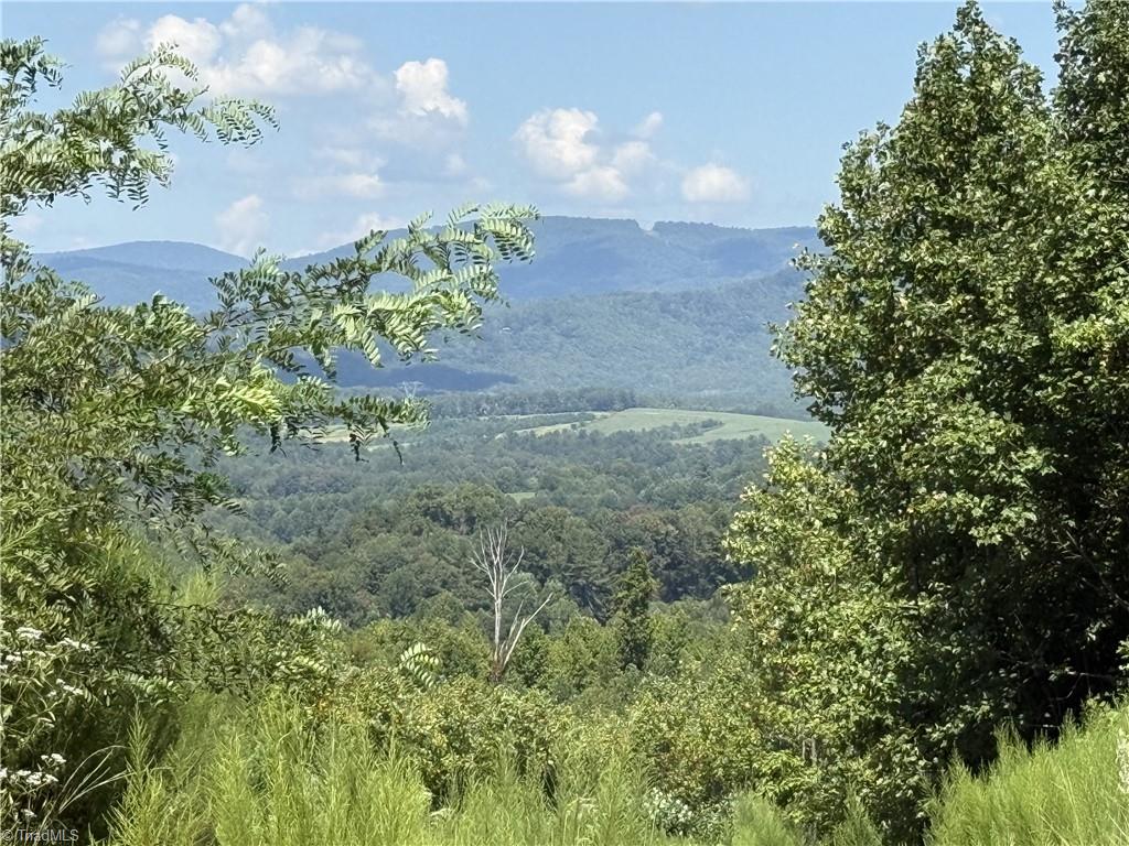 Off Off Bauguess Mill Road Traphill, NC 28685 - Photo 3 of 6 Gallery Image 3