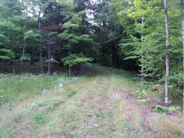 1225 Deer Path Phelps, WI 54554 - Photo 7 of 9 Gallery Image 7