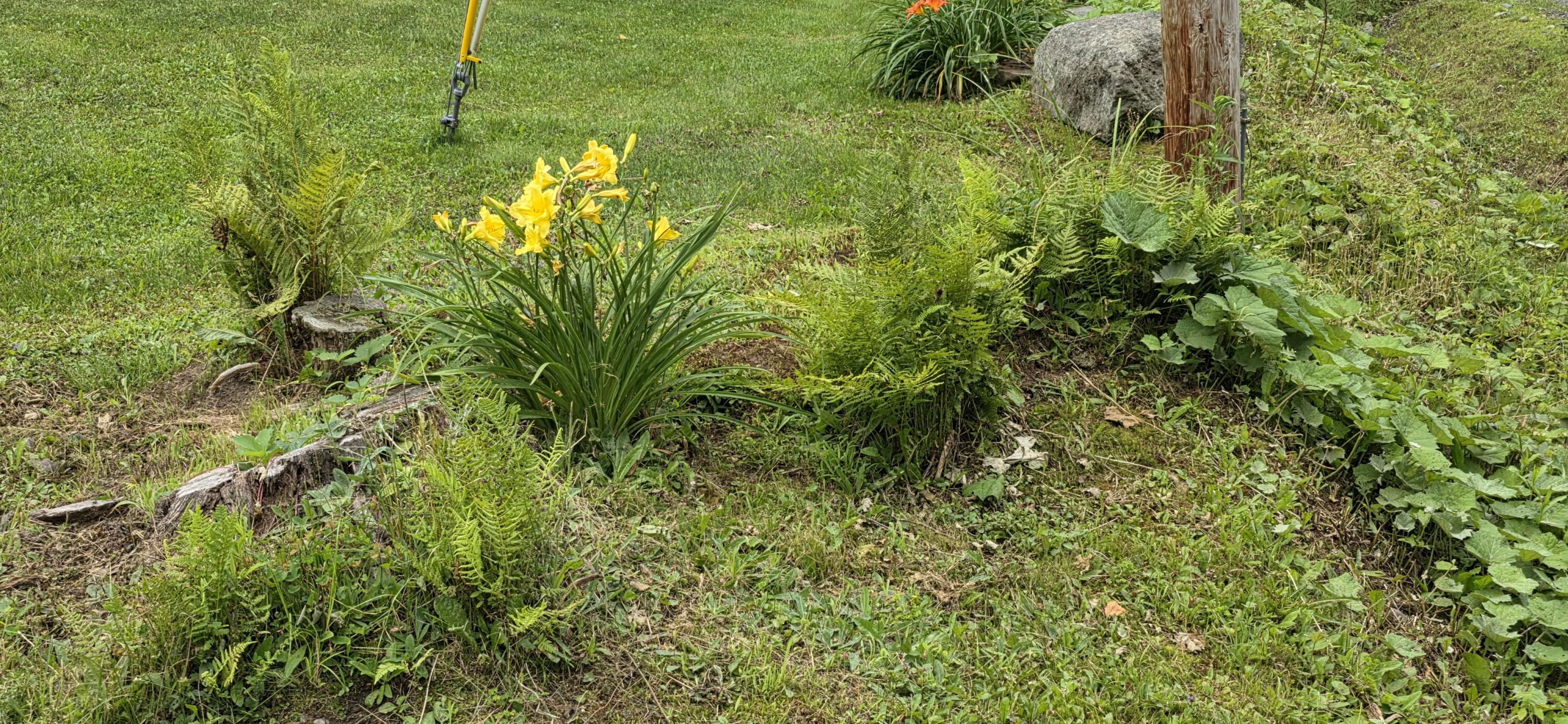 25 Oak Ridge Road Shirley Mills, ME 04485 - Photo 14 of 43 Yard