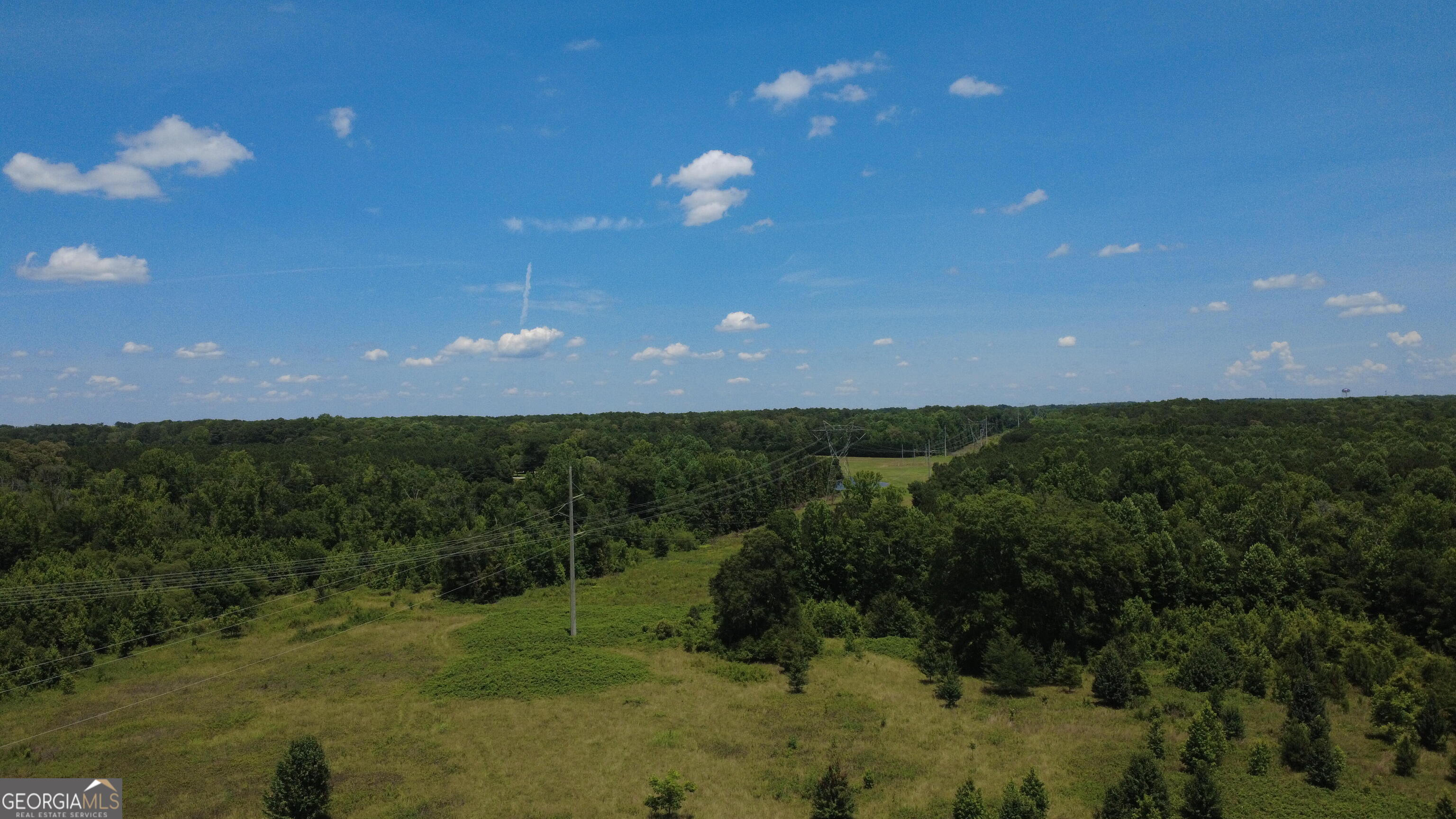 676 Linch Road Senoia, GA 30276 - Photo 5 of 35