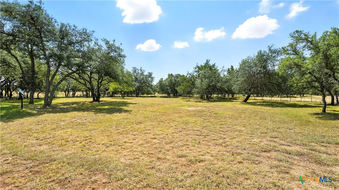 220 Lanier Ranch Road Driftwood, TX 78619 - Photo 42 of 48 a view of a swimming pool with a yard and palm trees