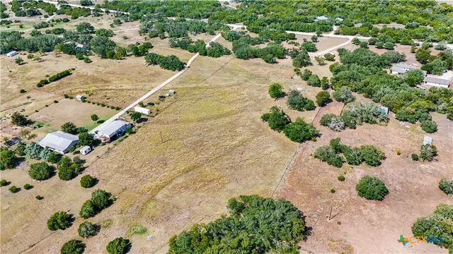 a view of a yard with yellow flowers