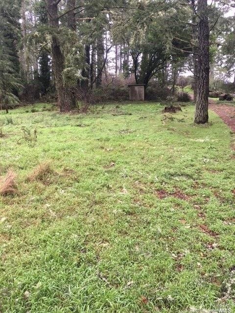 0 Drake Way Point Reyes Station, CA 94956 - Photo 1 of 1 Lot facing well house.