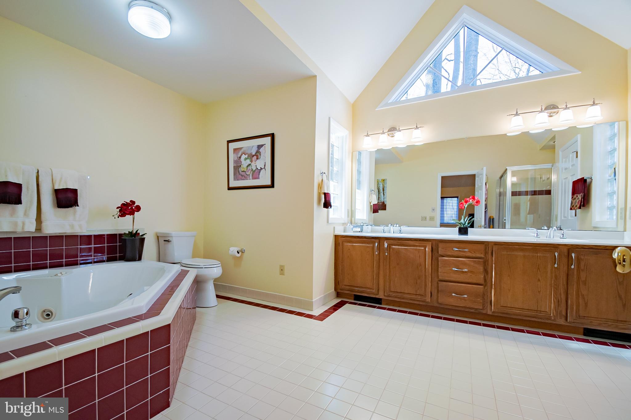 21 Forest Ridge Road Newark, DE 19711 - Photo 22 of 42 Architectural Detail Abounds in the Master Bath