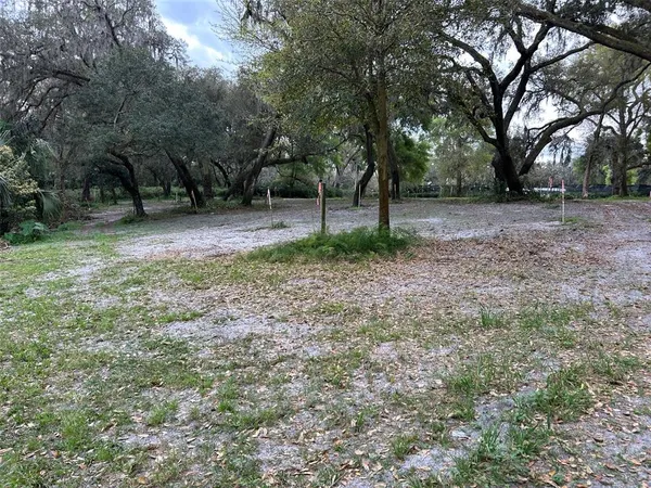 a view of outdoor space with trees