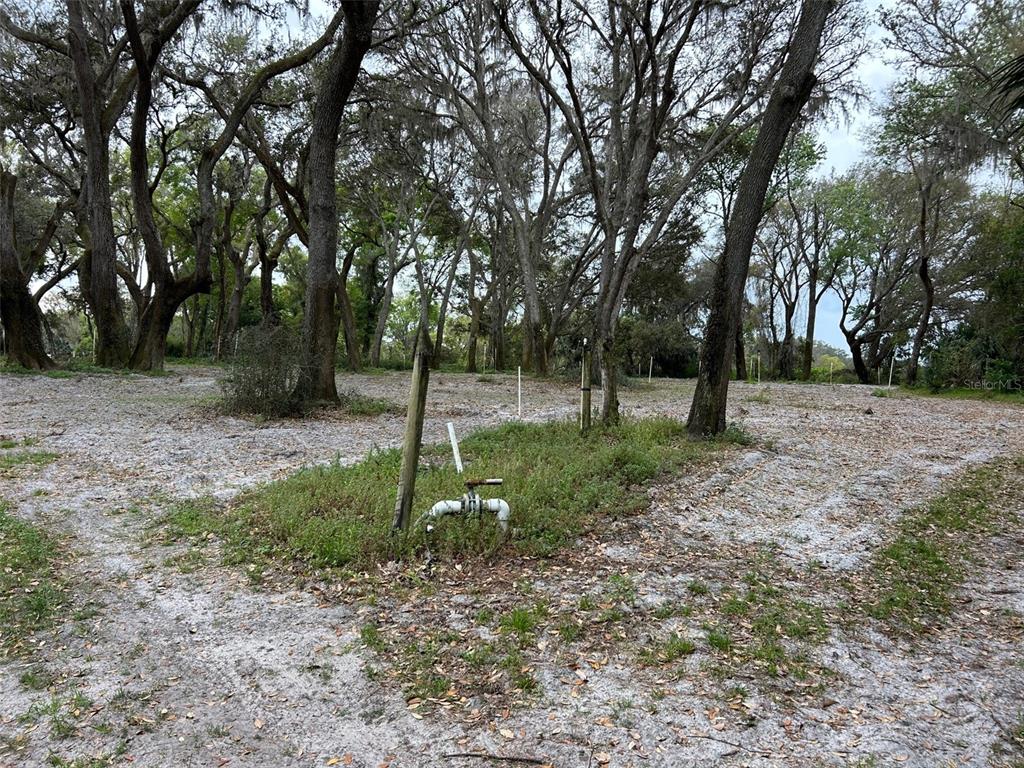 Chameleon Road Pierson, FL 32180 - Photo 3 of 6