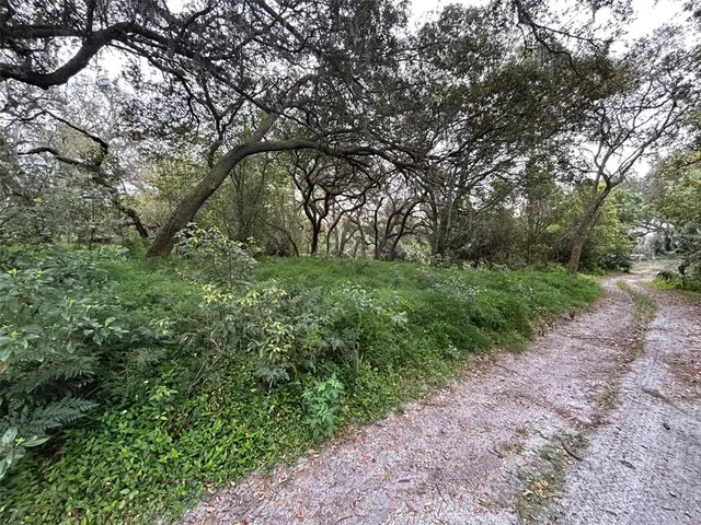 $189,500 | Chameleon Road, Pierson, FL 32180