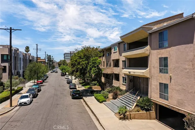 a view of a city with flower plants