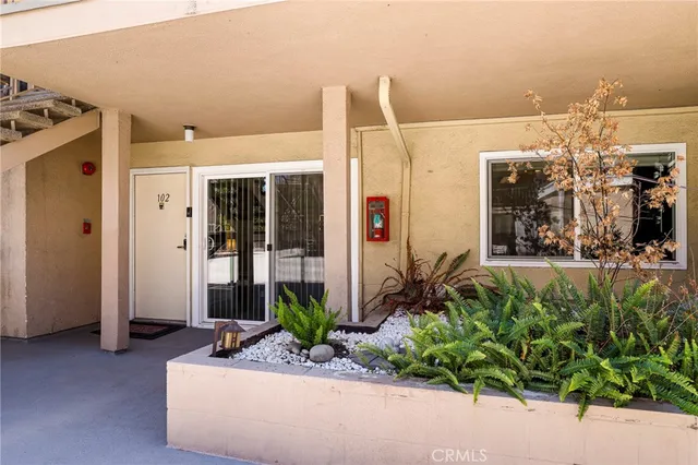 a view of a house with potted plants