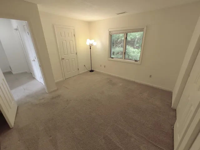 a view of a lush green forest