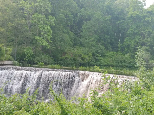 a view of a lake with a forest