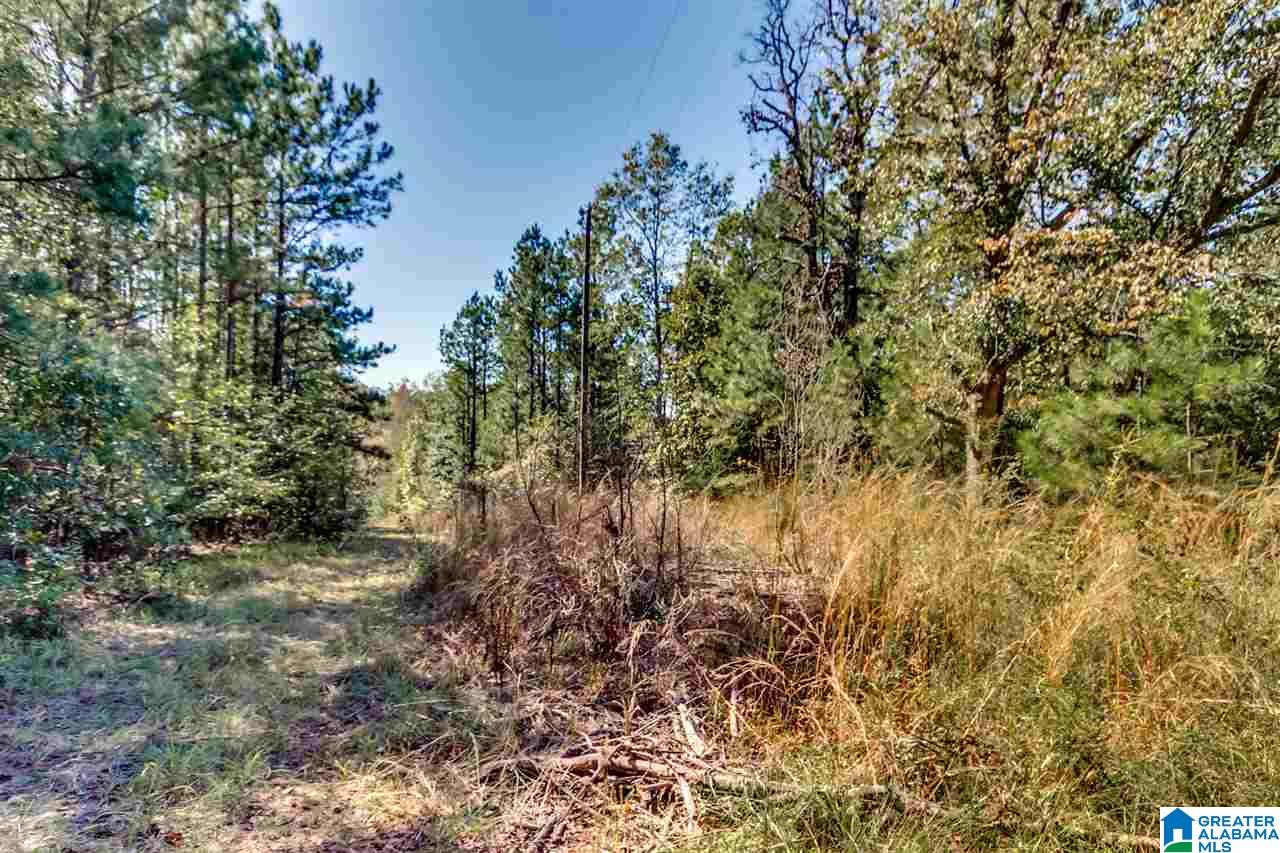 384 Wolf Pond Road, Unit 1 Talladega, AL 35160 - Photo 2 of 26