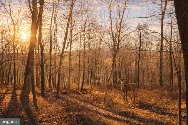 $249,000 | 0 Water Tank Road, Manchester, MD 21102