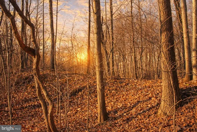 $249,000 | 0 Water Tank Road, Manchester, MD 21102