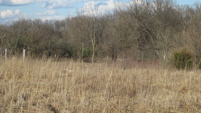 2446 East 2350th Road Marseilles, IL 61341 - Photo 16 of 17